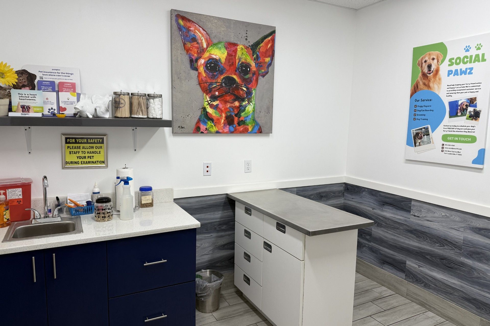 Fort Lauderdale Veterinary Center exam room with colorful dog portrait and supplies