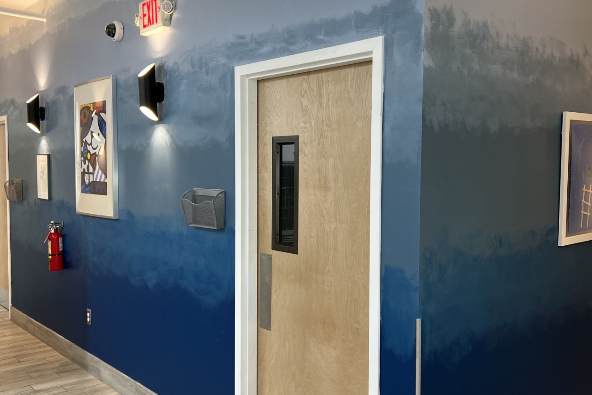 Fort Lauderdale Veterinary Center hallway with blue accent wall and wood-grain exam room door.