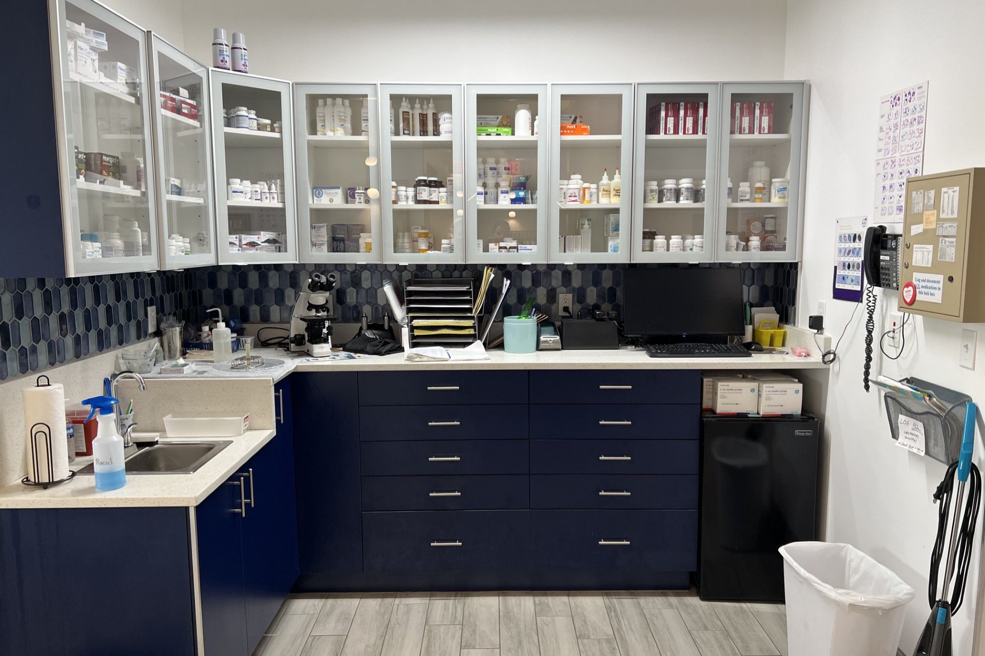Fort Lauderdale Veterinary Center treatment room with white glass-front medication cabinets and dark navy cabinetry.