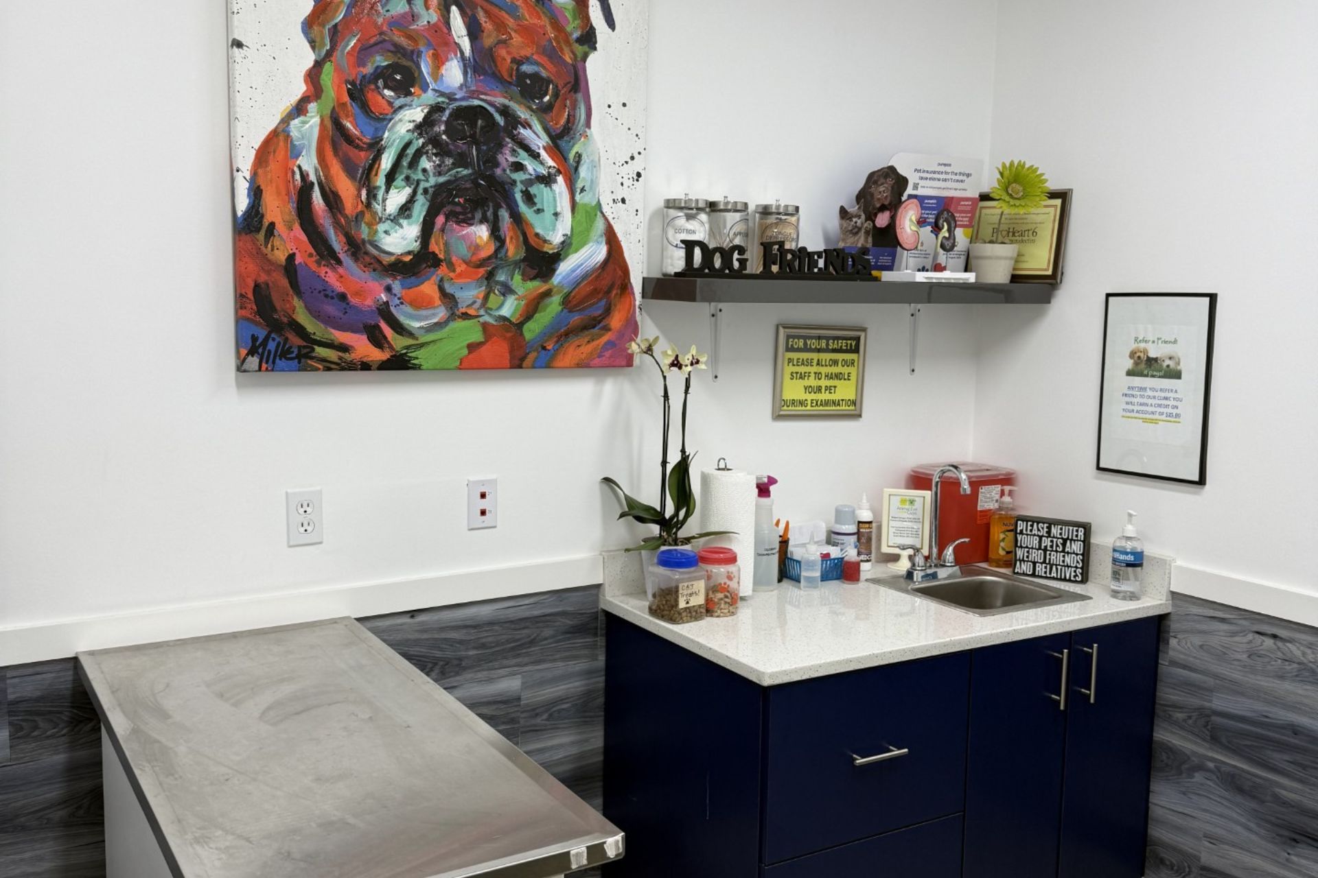 Fort Lauderdale Veterinary Center clinic room with colorful dog artwork, counter, and supplies