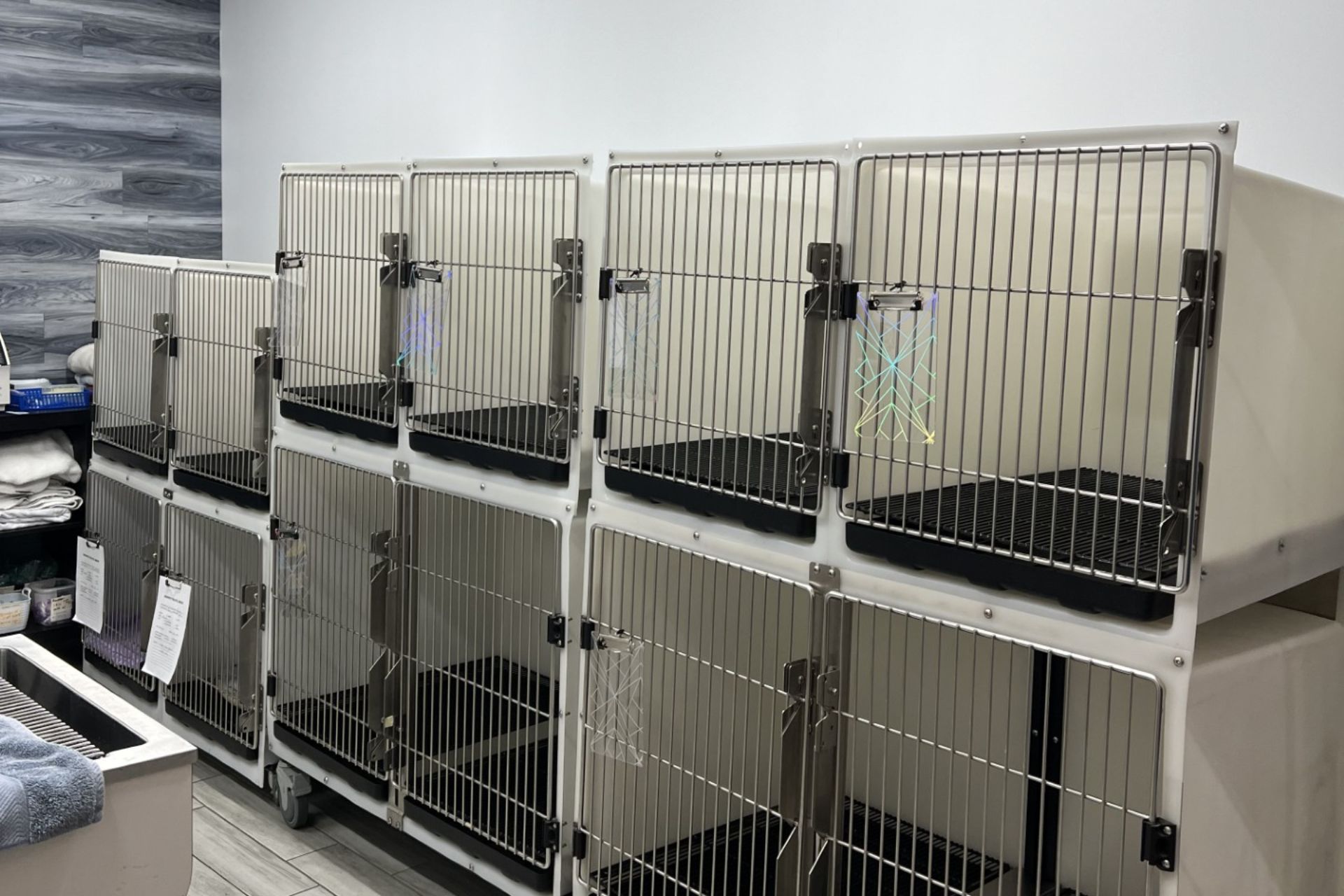 Multiple stainless steel animal kennels and cages lined up in veterinary clinic