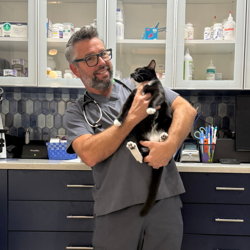 Dr. Alex Emerson, DVM, owner and veterinarian at Bluewater Animal Health Center in Fort Lauderdale, holding a kitten in the exam room.