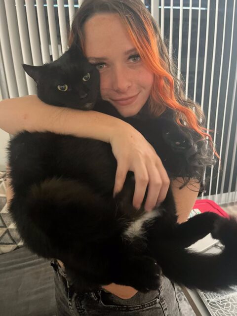 Veterinarian holding black cat in exam room with vertical blinds