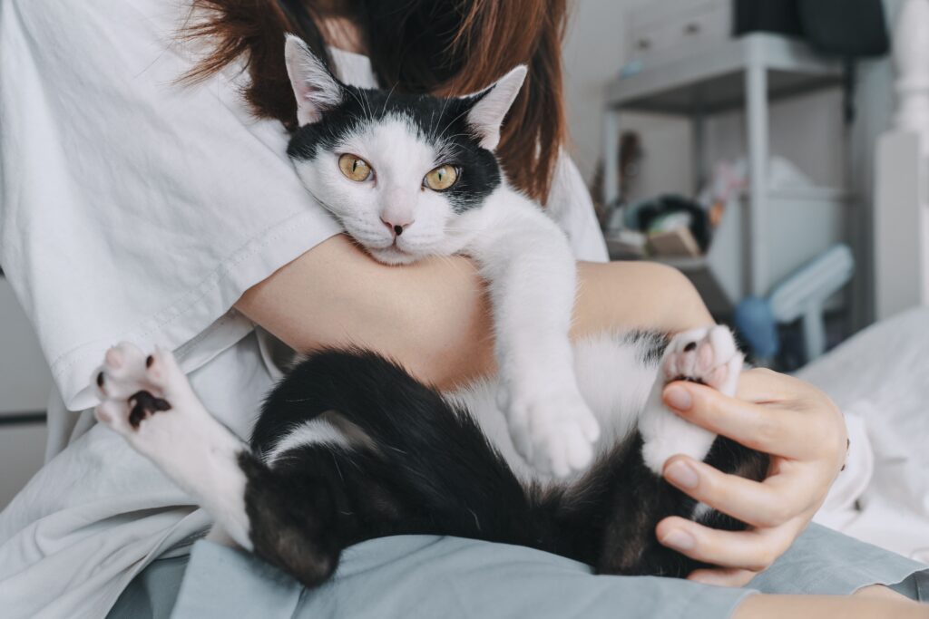 a woman holding a black and white cat