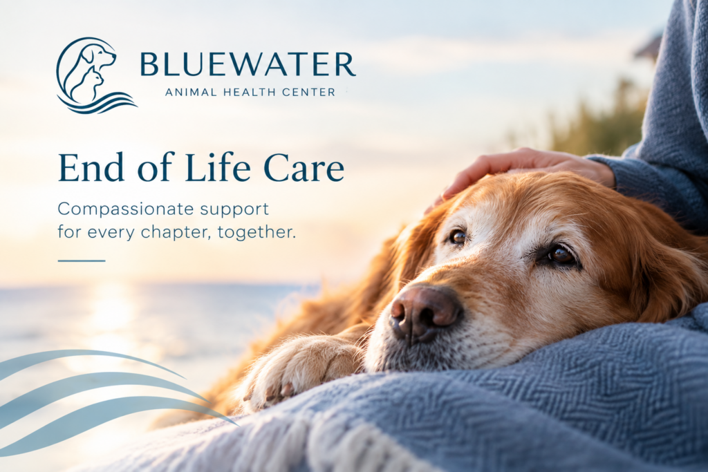 end of life care at bluewater